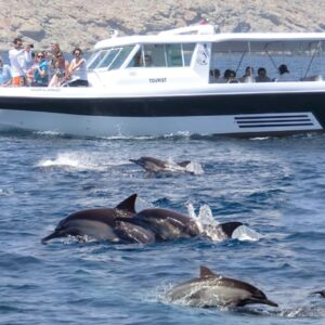 Khasab Full Day Dhow Cruise to Khor Sham with lunch